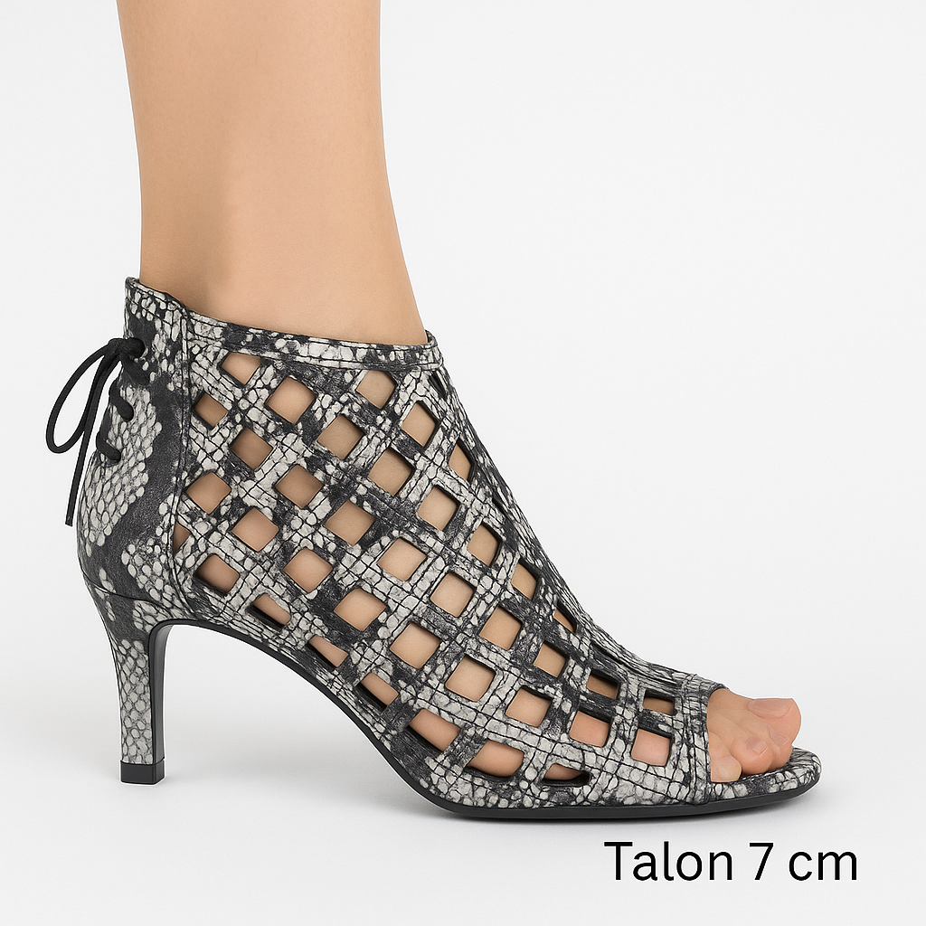 Venus Salsa - Botte danse latine